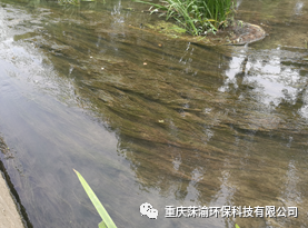小流域治理心得