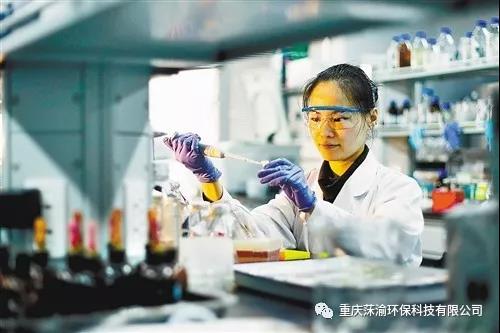 尹雅潔 | 高級技術顧問，中國科學院重慶綠色智能技術研究院副研究員